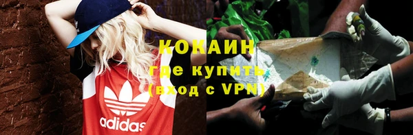 кокс Богородицк