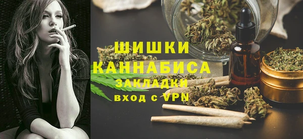 тгк Бородино