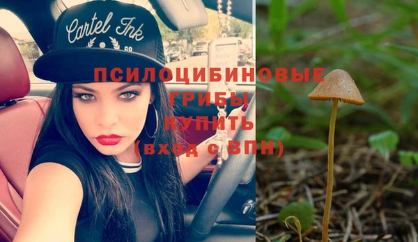 кокс Богородицк