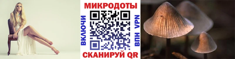 где купить   Мензелинск  Псилоцибиновые грибы MAGIC MUSHROOMS 